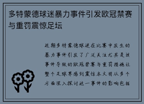 多特蒙德球迷暴力事件引发欧冠禁赛与重罚震惊足坛